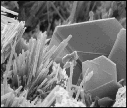 Photo. S E image showing platy C H and ettringite needles and also plate-like C H morphology.