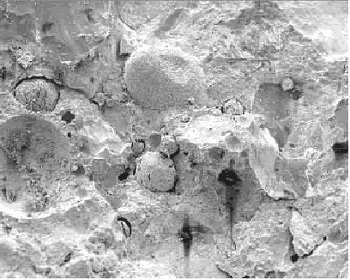 The secondary electron image is also in black and white, but at much higher magnification and shows minute details of the fracture such as cavities where small aggregate particles were dislodged.