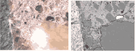 In each of the three pairs (figures 182, 184, and 184) the S E M B E images show greater texture and clarity than the stereomicroscope images.