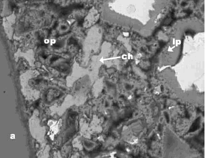 Image of a close up of figure 185 at higher magnification, show the more detail of residual cement, calcium hydroxide, two forms of calcium-silicate-hydrate, inner-product and outer-product as well as aggregate