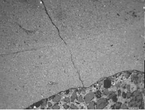 Uniformity and shape are useful in distinguishing carbonate aggregate from a mortar matrix that contains phases of similar gray-level intensity.