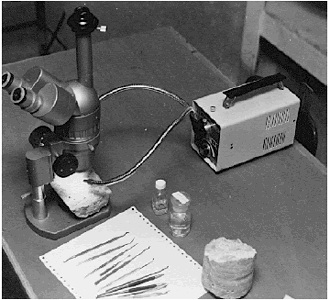 A stereomicroscope is shown on a countertop along with a sample of hardened concrete positioned under the objective lens. Light is directed on the sample by two penlights mounted on their source with snake-arm adjustable positioning. Several small tool accessories are arranged on the countertop next to the microscope.
