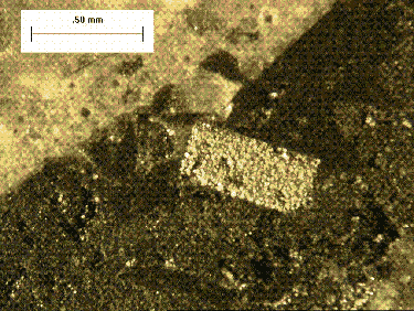 In this magnified view, the cubic pyrite stands out in an earthy yellow from the other formations around it.