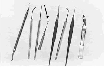 Photo shows an array of small tools for use under amicroscope lens. These include needles, shovels and scrapers. Their points or heads are small enough to enter the cracks and crevices of the sample concrete surface. An arrow points to a small scale engraved on very thin, flexible metal mounted on a thin rod in turn attached to a handle. The scale has 5 millimeters marked into tenths of a millimeter on one side and one-tenth of an inch marked into 5 thousandths of an inch on the other.