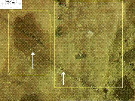 The portion with cleavage has a rippled surface. The other portion has smooth surface. Scratch test with metal tool leaves metal on both quartz and orthoclase, which are harder than the metal.