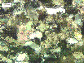 This photo is the same as figure 213. There are elongated quartz grains (white-gray in polarized image) set apart from the predominant calcite crystals by their low birefringence and high negative relief. Undulose extinction of quartz seen in the plane polarized light image indicates strain of crystal and suggests increased susceptibility to A S R.