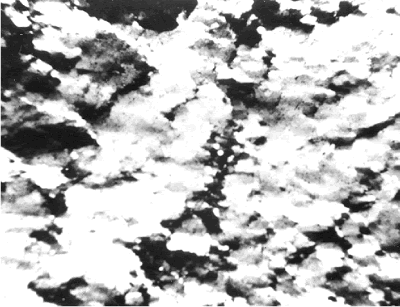 The photo is a magnified view using crossed polars. It consists of jagged patches of white and black in several bands. The white patches are predominant