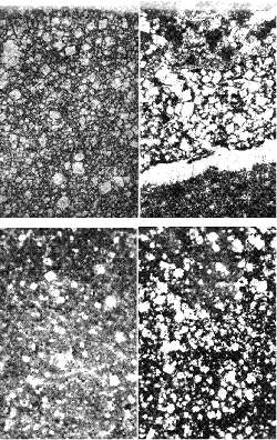 Four magnified images show the typical texture and spacing between individual crystalline phases in reactive A C R rock.