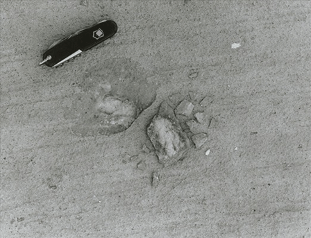 A portion of the concrete surface has popped out. The resulting hole is conical shape about the size of a pocketknife with folded blade.