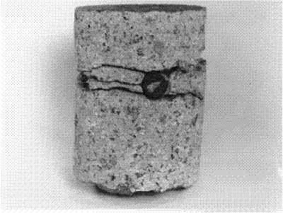 The photo shows a cylindrical concrete core with an embedded transverse reinforcing bar. A delamination is formed horizontally at the location of the reinforcement. The top and bottom surfaces of the delamination are tangent respectively to the top and bottom of the reinforcement bar. Within the delamination there is another horizontal crack that begins at the bar and extends to the edge of the core.