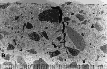  Vertical cross section cut down through the core shows the irregular crack going down about 25 millimeters below the surface of the concrete.