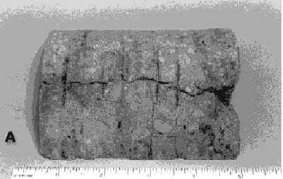  Photo shows a crack on the surface of a 100-millimeter core. The crack formed during the concrete’s plastic stage.