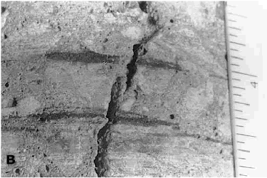   Closeup of bridge. A closeup of the crack shows a bridge of paste between its two sides.