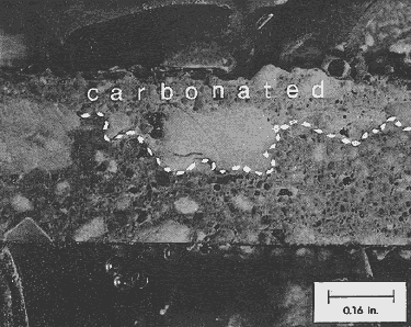 The carbonated area is above the lower edge of the whiter area near the wearing surface. An undulating dashed line shows the separation between the carbonated area on top and the noncarbonated area below the dashed line.