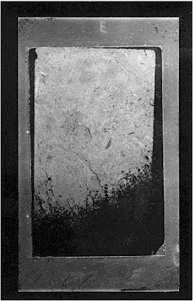 A thin section, shown in a glass mount, was cut to standard thickness on one end and tapered to zero thickness on the opposite end. This wedge form allows for the optimum thickness necessary to reveal dolomite rhombs in micrite as indicators of possible alkali-carbonate reactivity. The photo shows the rock thin section as whitish on the top (thicker) end grading to gray and then black as the section becomes thinner. Glass mount is 27 by 46 millimeters