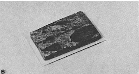 The photo shows a section mounted on a microscope slide prior to cutting to a thin section.