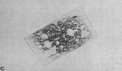 The photo shows the final thin section that remains mounted on the slide. This section was made to about 50 micrometers in thickness because the study for which it was fabricated was concerned with the profile of the wearing surface and not with the identity and interrelationship of the component materials.