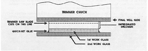 . A cross section conceptual drawing shows a specimen that is clamped for a proposed cut along its entire length to produce a thinner section. The specimen is held by layers of glued work glass on one side and by a final well slide and trimmer chuck on the other side. A dotted line indicates the plane the saw will cut parallel to the working glass and through the impregnated specimen.