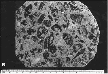 In contrast with figure 63 this photo is of low paste content with a coarse aggregate of a granitic gneiss, and a fine aggregate of river sand. By visual inspection of the unaided eye, the paste covers about 20 percent of the total surface ar