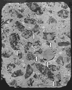 On a polished cross section slice of concrete, arrows point to cracks and voids at component interfaces. In this instance, the bond cracks occur most frequently on the underside of the aggregate and rebar, and therefore, can probably be attributed to bleeding or poor consolidation. The specimen is 100 millimeters in width.