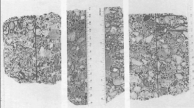 Three polished concrete cross section slices are shown with cracks emphasized in ink. The cracks are quite visible (about 1 millimeter thick) and typically found in non-air-entrained concrete that has been exposed to freezing and thawing and often to deicers as well in a wet-freezing environment. Such cracks tend to be parallel to each other and parallel to the surface or joint where moisture and deicing salts may be available to cause critical saturation.