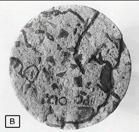 The cracks were followed over the edge of the slice. The crack pattern seen in view A was used to guide the finding of the cracks in view B. A careful study of these views shows that the two crack patterns are related. The specimen is 100 millimeters in diameter.