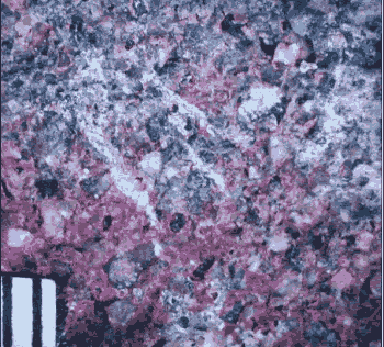 A closeup of a mortar section from concrete is shown with several linear features stained pink. The features are about a millimeter wide and several millimeters long.