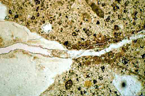 An example of a thin section concrete sample. This photo shows a microscopic view of a concrete sample, showing the cement paste, a particle of reactive aggregate, and a ribbon of reactive product running through both of them. The crack runs from a point where the gel meets the cement paste and continues parallel to the gel.