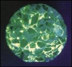 Figure 12. Photo. Uranyl-acetate Treatment on a Concrete Sample, Showing ASR-affected Concrete. This photo shows a microscopic view of a concrete sample being viewed under ultraviolet lighting. The aggregates can be seen in a green shade, and areas around the aggregate glow in a yellow shade. The yellow area is ASR gel.