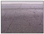 Figure 2. Photo. Map Cracking in a Section of Pavement on I-84 near Mountain Home, Idaho. This photo shows several longitudinal cracks along a concrete pavement section, with smaller cracks branching off transversely and diagonally.