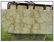 Figure 4. Concrete Girder Treated for ASR in Corpus Christi, Texas. This photo shows several horizontal cracks along the face of a concrete girder, and the cracks are connected by several vertical cracks.
