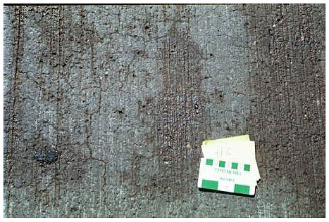 Figure 16.  Photo. Control Section with Placitas-February 1999.  The surface of the concrete pavement contains dense, fine cracks.