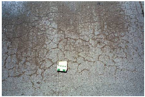 Figure 17.  Photo. Section with Class C Fly Ash and Placitas-February 1999. The surface of the concrete pavement contains dense, fine cracks.