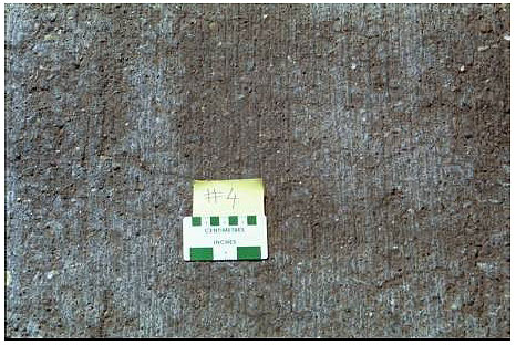Figure 18.  Photo. Section with Class F Fly Ash and Placitas-February 1999.  The surface shows fewer cracks than on the control section or class C fly ash.
