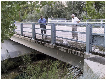 Figure 25.  Photo. Coyote Springs Bridge, NM. This photo shows the bridge deck and railing. The bridge appears to be less than 100 meters long.
