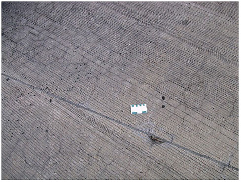 Figure 35.  Photo. Cracking of an 11-Year-Old Untreated Section of State Route 1 in Delaware.  The pavement contains an extensive network of cracking.