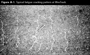 Figure A-1. Typical fatigue cracking pattern a WesTrack