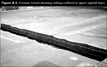 Figure A-2. Forensic trench showing rutting confined to upper asphalt layer