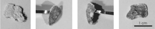 This picture shows four profile images of a piece of concrete dislodged from the surface following ECE.  The white substance on the surface of the concrete completely covers the surface and in some locations it penetrates into the larger surface pores.