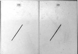 Figure 6. a - Panel pictures. [Coating conditions of system 2 after exposures. A. 3,000-hour test A, b. 3,000-hour test B  C. 2-year outdoor exposure]  This figure shows the coating conditions of system 2 (zinc-rich moisture-cured urethane system) after three tests. No surface failure was observed in all cases. They all exhibited a small amount of creepage at the scribe.  However, test B induced a higher amount of scribe creepage than that by test A and outdoor exposure.