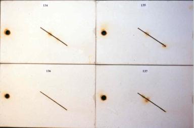 Figure 6. c - Panel pictures. [Coating conditions of system 2 after exposures. A. 3,000-hour test A, b. 3,000-hour test B  C. 2-year outdoor exposure]  This figure shows the coating conditions of system 2 (zinc-rich moisture-cured urethane system) after three tests. No surface failure was observed in all cases. They all exhibited a small amount of creepage at the scribe.  However, test B induced a higher amount of scribe creepage than that by test A and outdoor exposure.