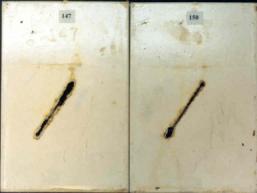Figure 14.A Panel pictures. [Coating conditions of system 3 after exposures.  A. 3,000-hour test A  B. 3,000-hour test B  C. 2-year outdoor exposure]  This figure shows the coating conditions of system 3 (acrylic system) after three tests. No surface failure was observed in all cases, but the system developed some creepage at the scribe after all the three tests.