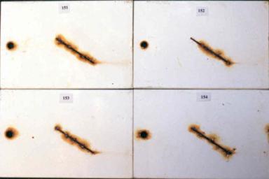 Figure 14.C Panel pictures. [Coating conditions of system 3 after exposures.  A. 3,000-hour test A  B. 3,000-hour test B  C. 2-year outdoor exposure]  This figure shows the coating conditions of system 3 (acrylic system) after three tests. No surface failure was observed in all cases, but the system developed some creepage at the scribe after all the three tests.
