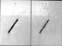 Figure 15.A Panel pictures. [Coating conditions of system 5 after exposures. A. 3,000-hour test A  B. 3,000-hour test B  C. 2-year outdoor exposure]  This figure shows the coating conditions of system 5 (acrylic system) after three tests. No surface failure was observed in all cases, but the system developed some creepage at the scribe after all the three tests.