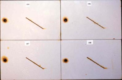 Figure 15.C Panel pictures. [Coating conditions of system 5 after exposures. A. 3,000-hour test A  B. 3,000-hour test B  C. 2-year outdoor exposure]  This figure shows the coating conditions of system 5 (acrylic system) after three tests. No surface failure was observed in all cases, but the system developed some creepage at the scribe after all the three tests.