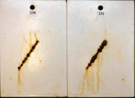 Figure 16.A Panel pictures. [Coating conditions of system 8 after exposures. A. 3,000-hour test A  B. 3,000-hour test B  C. 2-year outdoor exposure]  This figure shows the coating conditions of system 8 (epoxy system) after three tests. No surface failure was observed in all cases, but the system developed some creepage at the scribe after all the three tests.