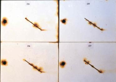 Figure 16.C Panel pictures. [Coating conditions of system 8 after exposures. A. 3,000-hour test A  B. 3,000-hour test B  C. 2-year outdoor exposure]  This figure shows the coating conditions of system 8 (epoxy system) after three tests. No surface failure was observed in all cases, but the system developed some creepage at the scribe after all the three tests.