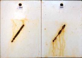 Figure 17.A Panel pictures. [Coating conditions of system 10 after exposures. A. 3,000-hour	 test A  B. 3,000-hour test B  C. 2-year outdoor exposure]  This figure shows the coating conditions of system 10 (epoxy system) after three tests. No surface failure was observed in all cases, but the system developed some creepage at the scribe after all the three tests.