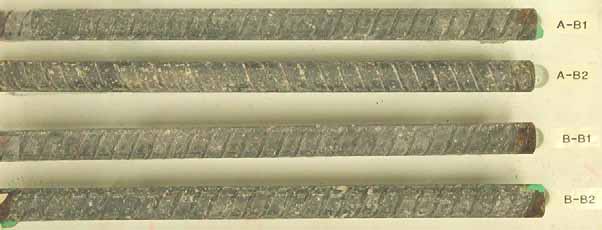 Figure 46. Slab #1 extracted rebars condition. Photo. Before autopsy, the bottom mat straight black bars show corrosion on the right ends and white concrete residue adhered to the bar throughout.