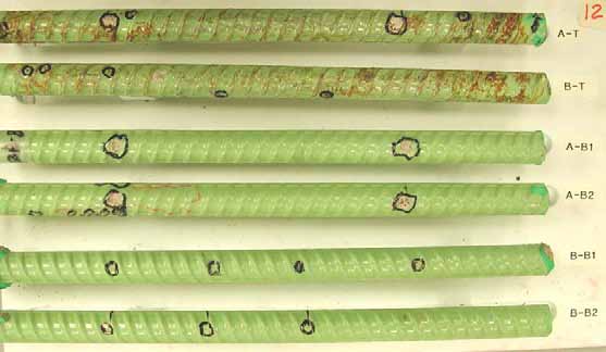 Figure 79. Slab #12 extracted rebars condition. Photo. Before autopsy, the top mat two ECRs (A-T and B-T) show corrosion induced coating deterioration.. All of the bottom mat ECRs show good coating condition.